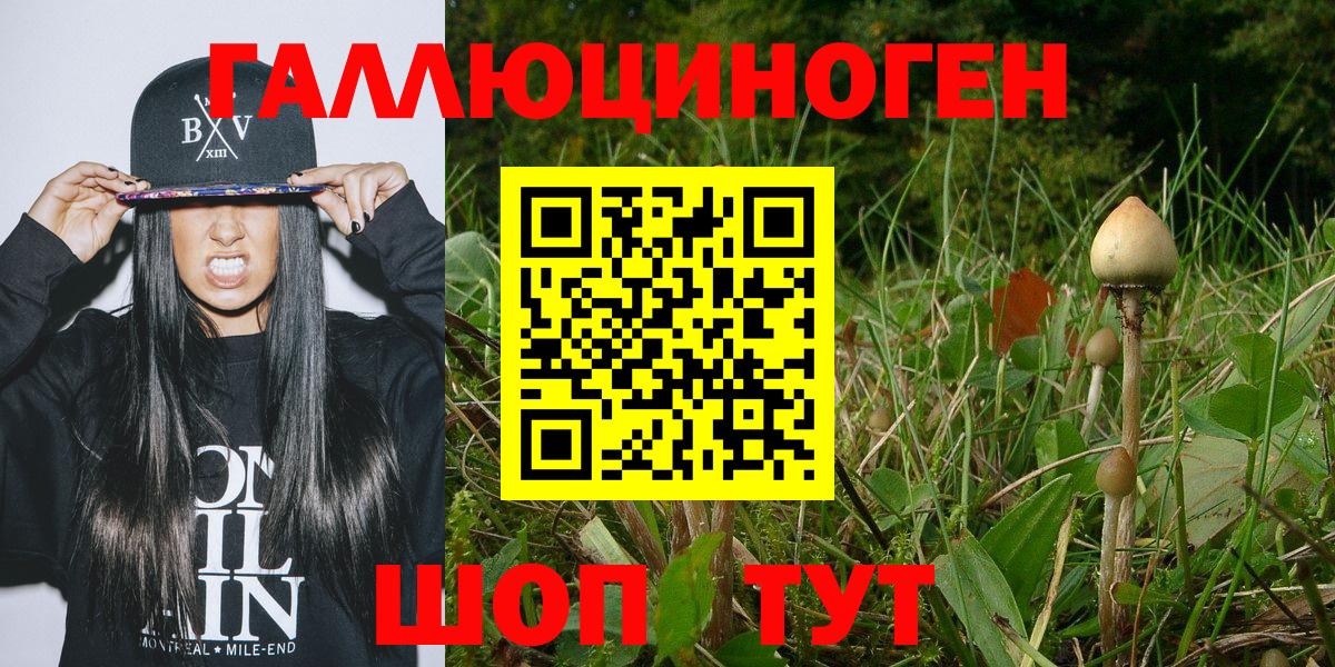 Галлюциногенные грибы MAGIC MUSHROOMS Воркута